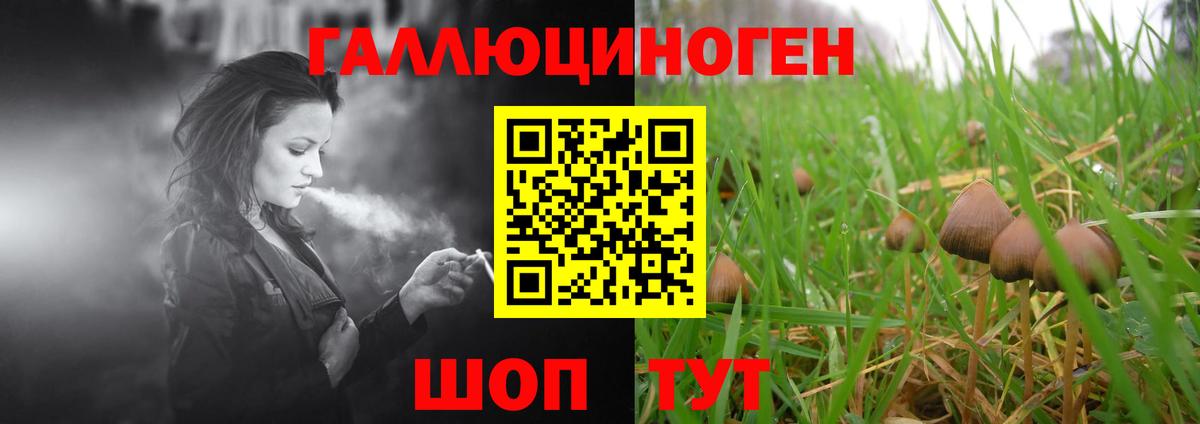 Псилоцибиновые грибы MAGIC MUSHROOMS  Вход с VPN  Стрежевой 